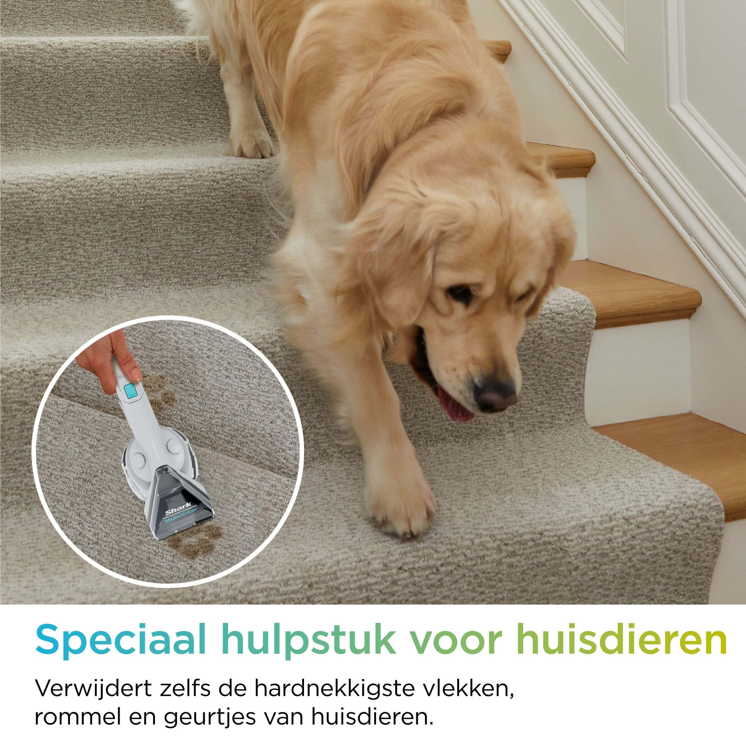 Shark StainStriker - Nettoyant anti-taches - PX200EUT
