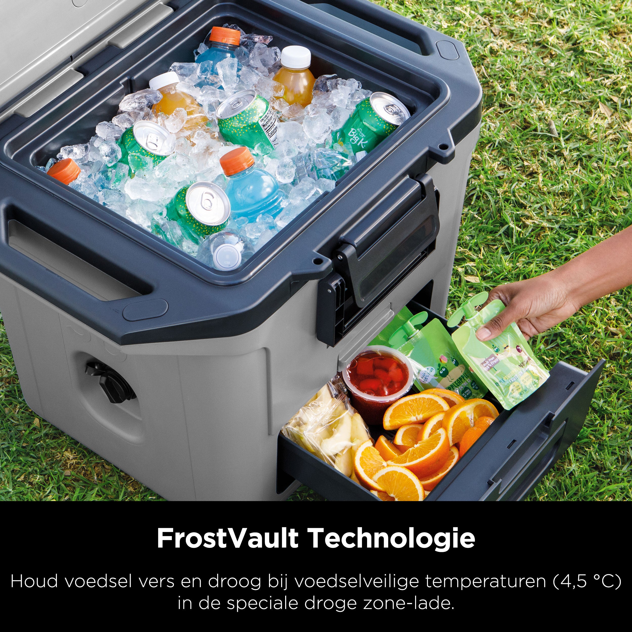 Ninja Frost Vault Kühlbox – 28 Liter – FB131EUGY