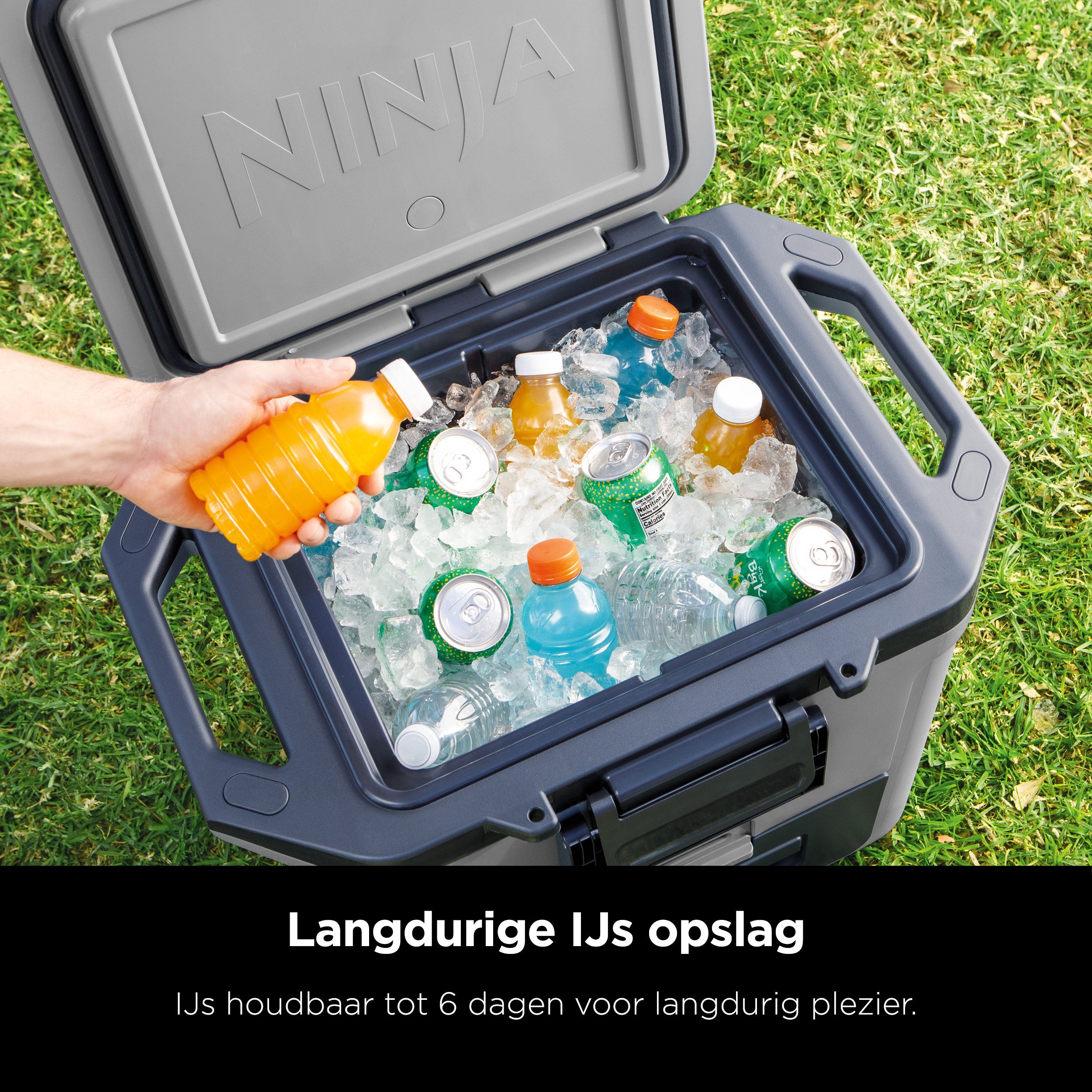 Ninja Frost Vault Kühlbox – 28 Liter – FB131EUGY