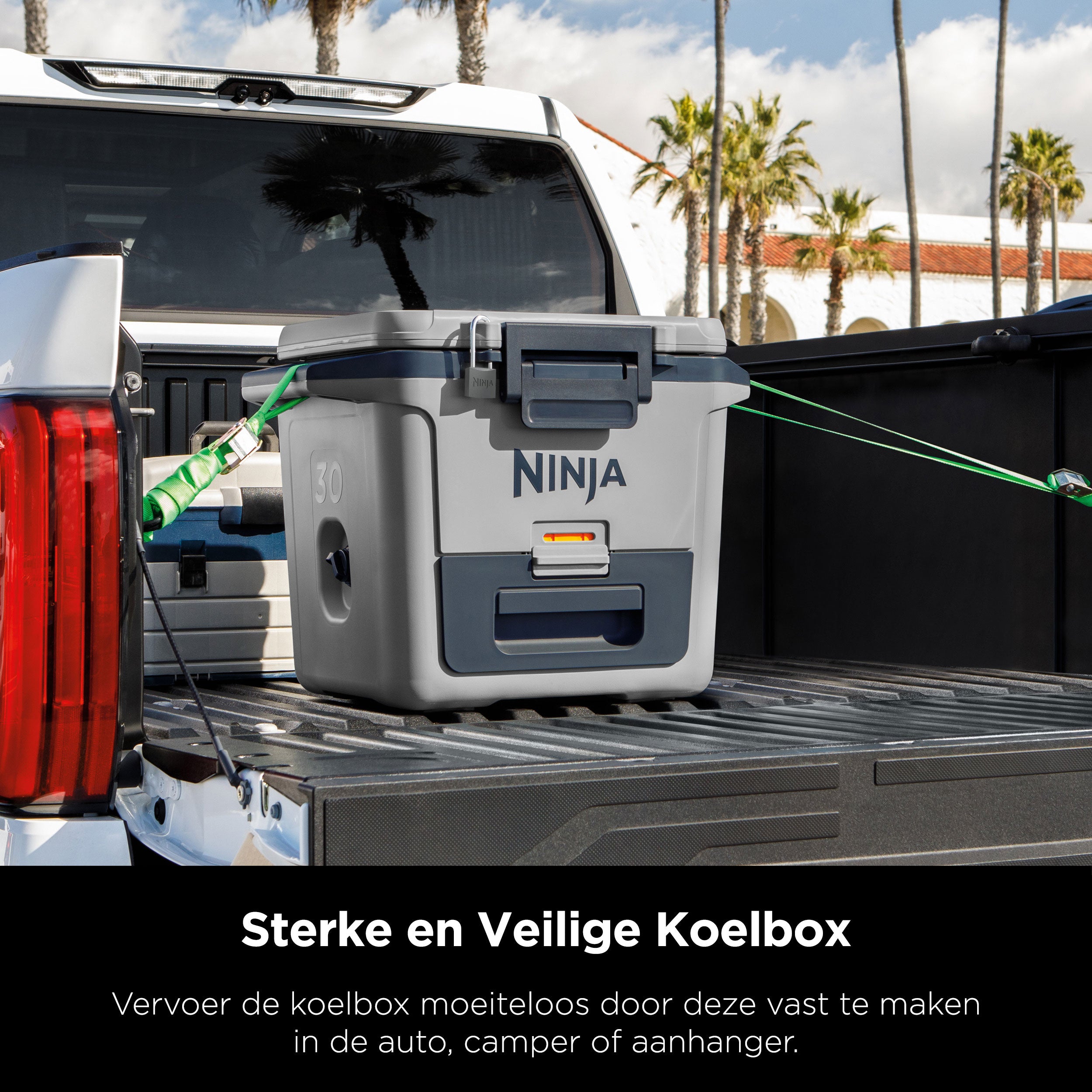 Ninja Frost Vault Kühlbox – 28 Liter – FB131EUGY