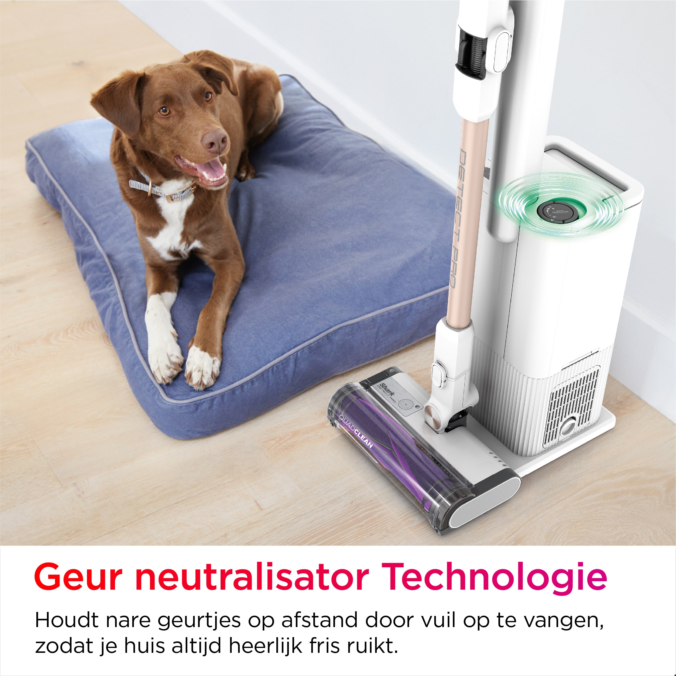 Shark Detect Pro Draadloze stofzuiger -  IW3612EU
