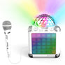 iDance BC100XWH Karaoke Set