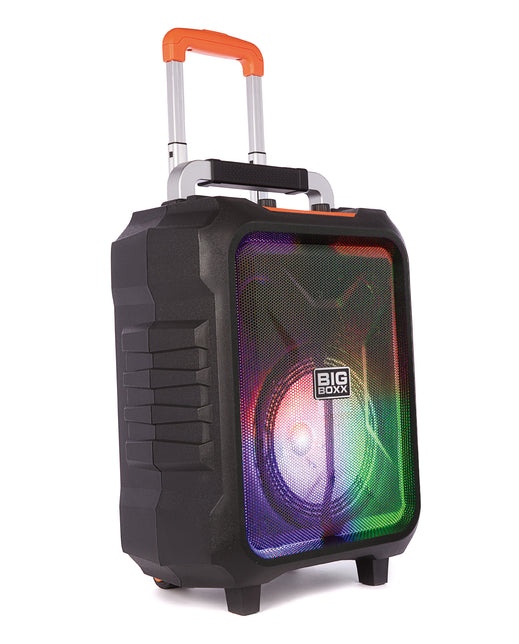 Nikkei BIGBOXX Party Speaker