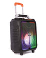 Nikkei BIGBOXX Party Speaker