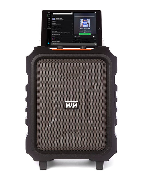 Nikkei BIGBOXX Party Speaker