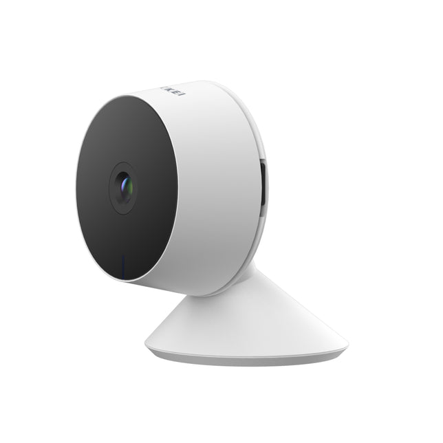 Nikkei CAM2 IP-Camera