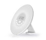 Nikkei NCW20 Wake-Up Light