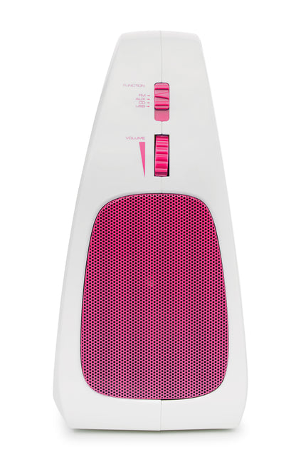Nikkei NKS30PK Kids Karaoke Set