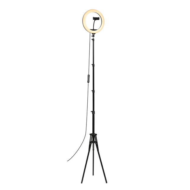 Nikkei RLIGHTX10 Ringlamp