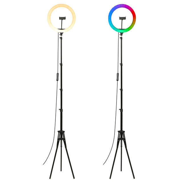 Nikkei RLIGHTX13 Ringlamp