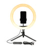 Nikkei RLIGHTX13 Ringlamp
