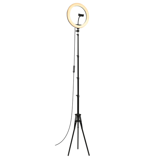 Nikkei RLIGHTX13 Ringlamp