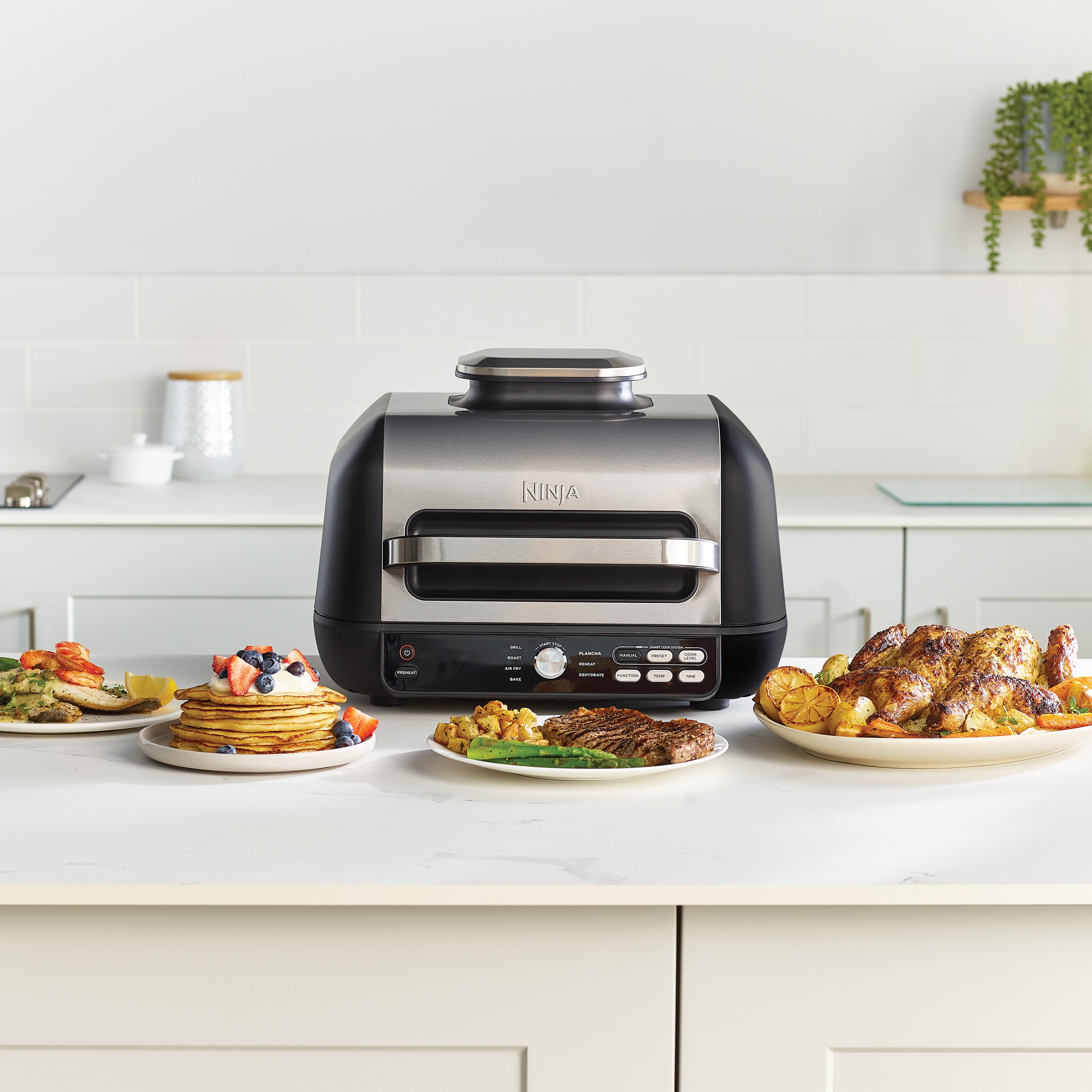 Ninja Pro AirGrill & Airfryer XL - AG651EU